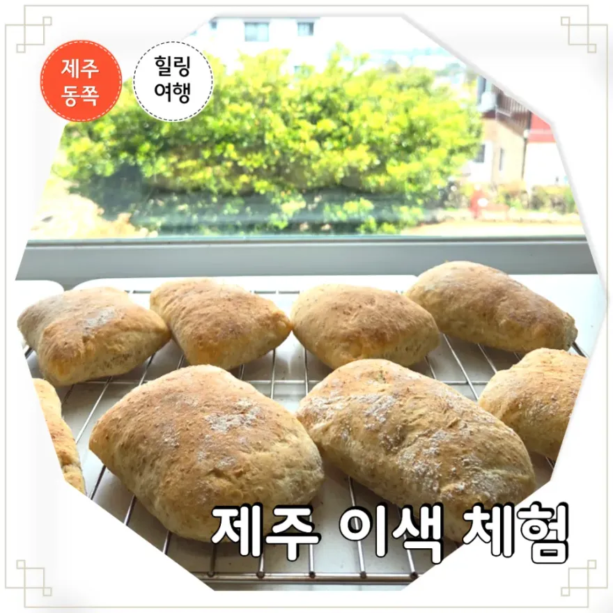 제주 투투 베이킹 원데이 클래스: 3시간 만에 완성하는 건강빵 만들기 — 사진 1