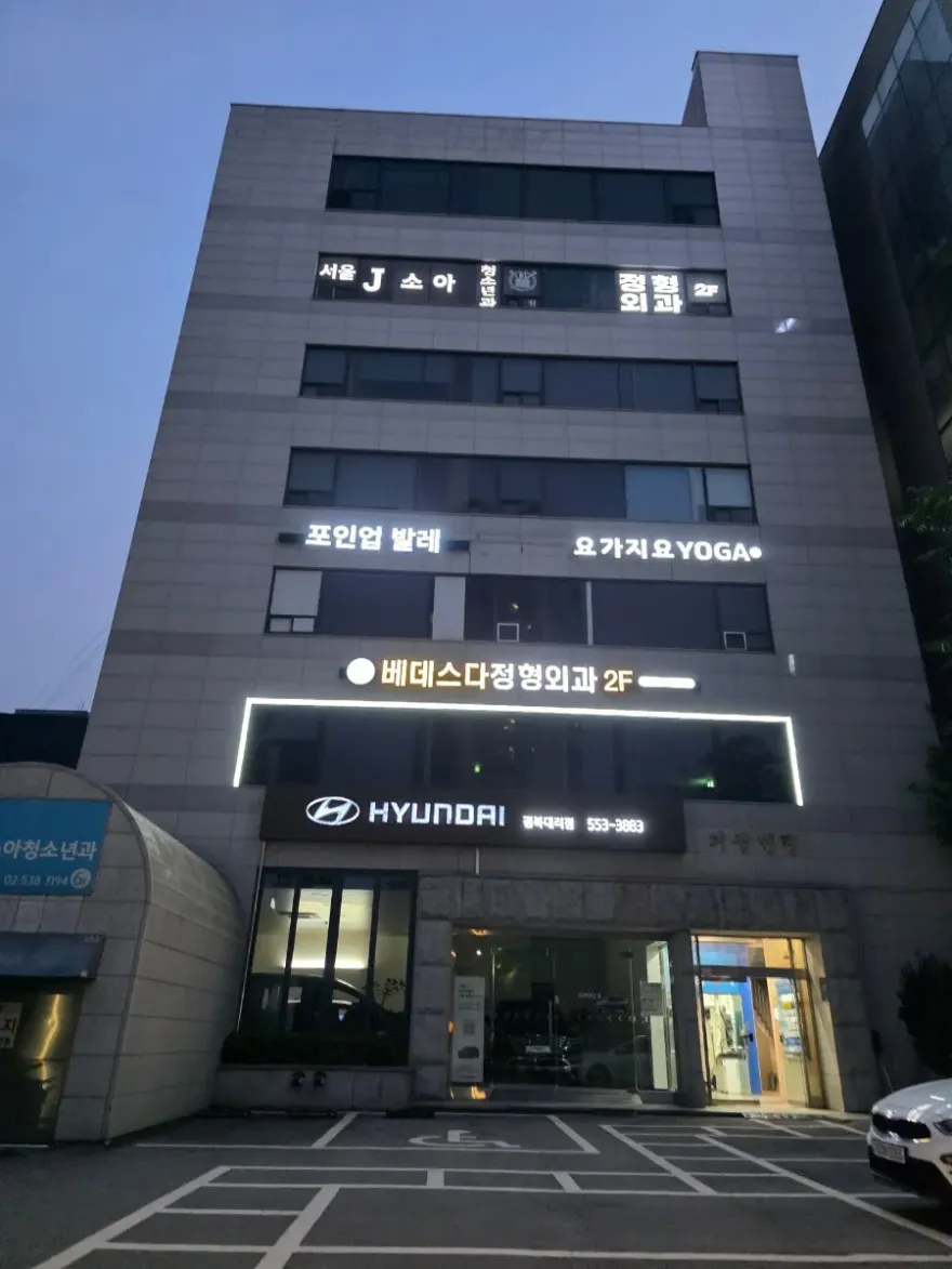 역삼동 취미발레 후기: 체형교정 효과와 초보자도 가능한 수업 방식