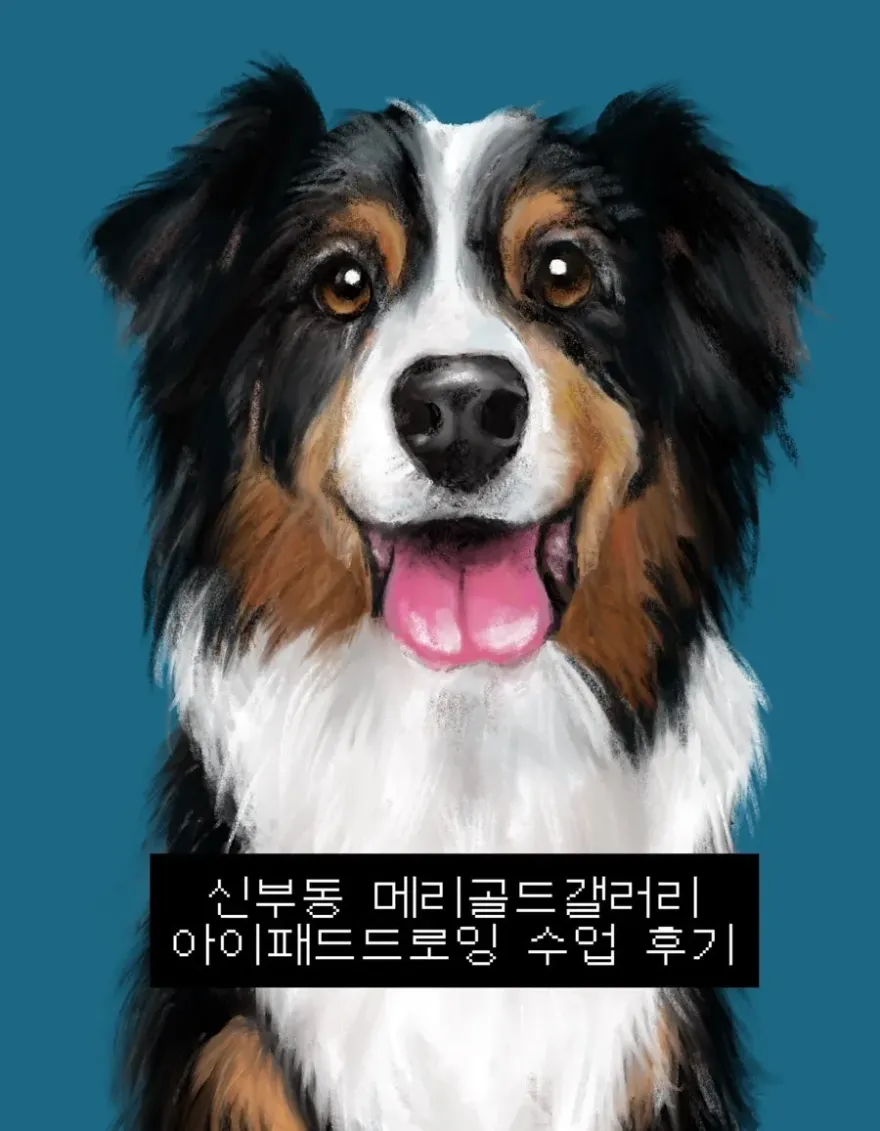 천안 아이패드 드로잉 원데이 클래스: 메리골드갤러리 — 사진 14