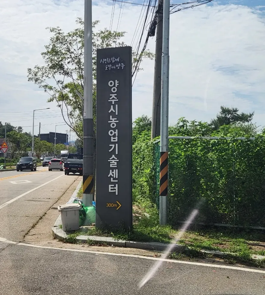 양주시 스마트스토어 강의 후기: 농업인 소득 증대 프로젝트
