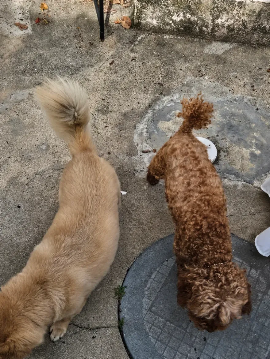 대구 남산동 향수 공방 원데이 클래스: 나만의 커플 향수 만들기 — 사진 3
