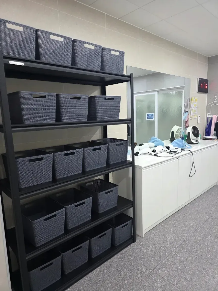 병점 경희키즈풀 수영 일요일 강습 후기 및 수강료 안내 — 사진 9